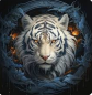 Preview: Diamond Painting Weisser - Tigerkopf